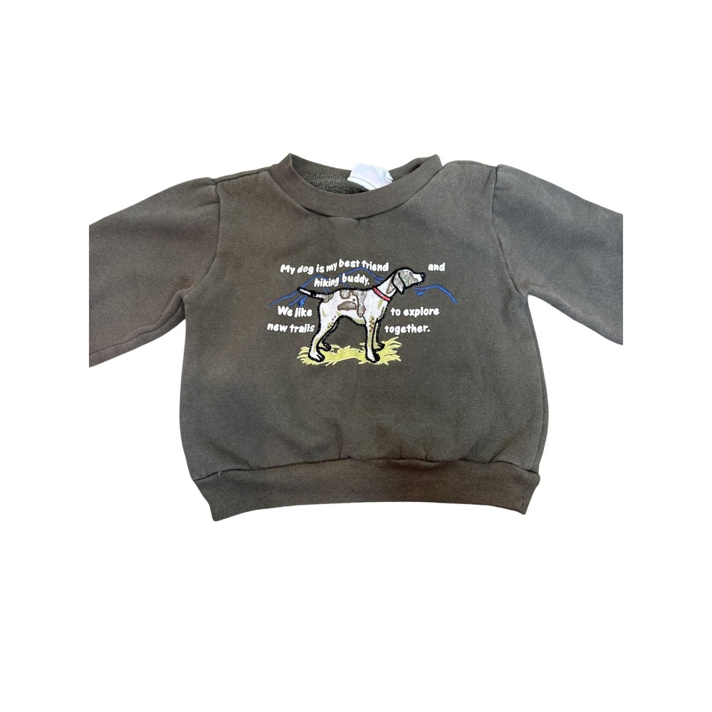 Small Steps Sweater Toddler Boys 18-24 Months Green Dog Hiking Pullover Fleece